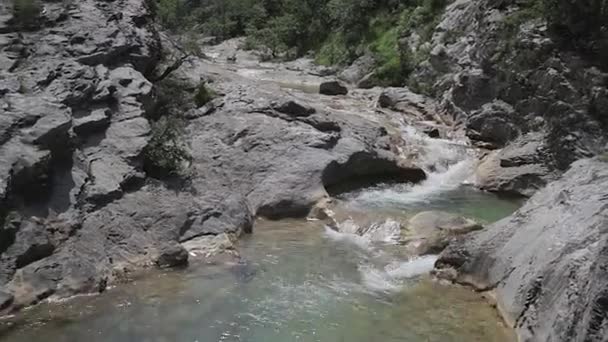 Река — стоковое видео
