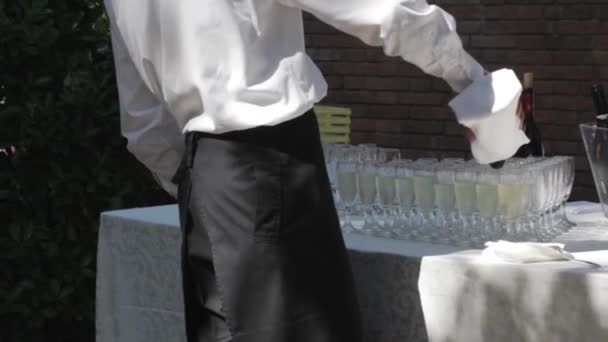 侍应生倒入晶莹的葡萄酒 — 图库视频影像