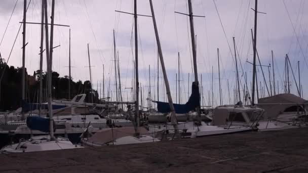 Barche Vela Parcheggiate Nel Molo Trieste — Video Stock