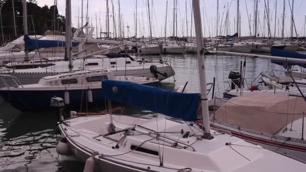 Barche Vela Parcheggiate Nel Molo Trieste — Video Stock