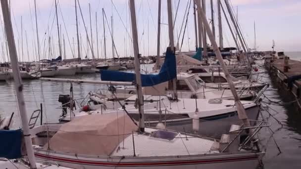Barche Vela Parcheggiate Nel Molo Trieste — Video Stock
