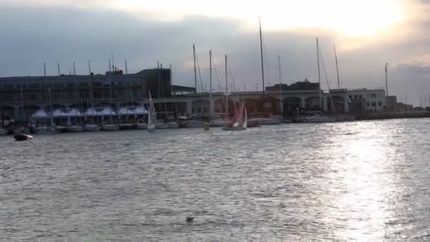 Trieste Italien Oktober 2017 Segelboote Bei Sonnenuntergang Während Der Barcolana — Stockvideo