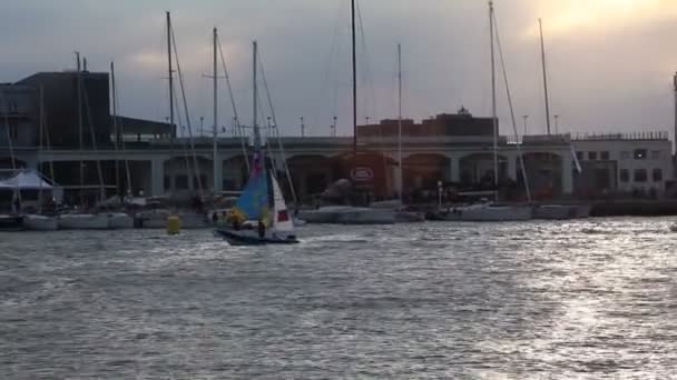 Trieste Italien Oktober 2017 Segelboote Bei Sonnenuntergang Während Der Barcolana — Stockvideo