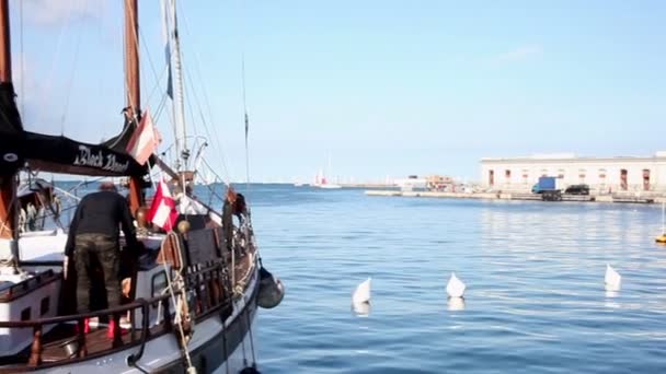 2017年10月6日 在2017年10月6日第49届Barcolana Regatta赛前停靠在码头上的帆船 — 图库视频影像
