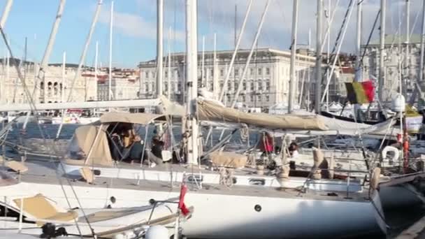 Trieste Italia Octubre 2017 Veleros Estacionados Muelle Antes Hora Inicio — Vídeos de Stock