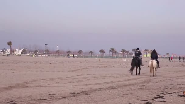 朋友们骑马在海滩上 — 图库视频影像