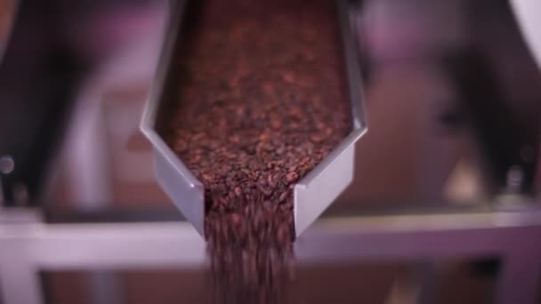 Kaffeindustrin Närbild Kaffe Produktion — Stockvideo