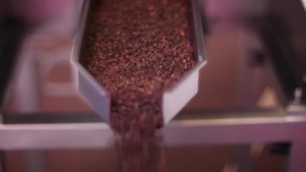 Kaffeindustrin Närbild Kaffe Produktion — Stockvideo