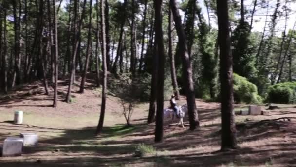 Liencres Dunes Espagne Août Homme Monte Cheval Entre Les Pins — Video