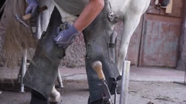 Beyaz at üzerinde çalışan at nalbandı manzarası