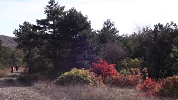 View Smoke Bush Slovenian Countryside — Stock Video