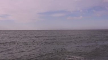 Arka planda Miramare şatosu olan trieste sahili manzarası