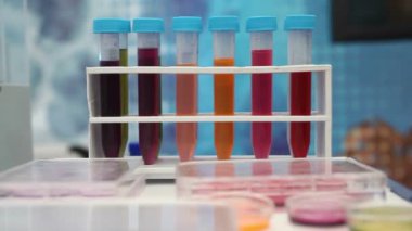 Test tüpleri, kimya laboratuvarı.