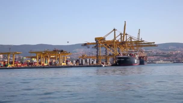 イタリア トリエステ 2017年7月9日 産業用コンテナ2017年7月9日 造船所内に建設中のクレーン橋を備えた貨物船 — ストック動画