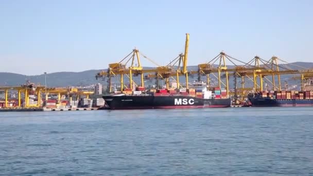 Trieste Italien Juli Industrielt Containerfragtskib Med Kranbro Skibsværft 2017 – Stock-video