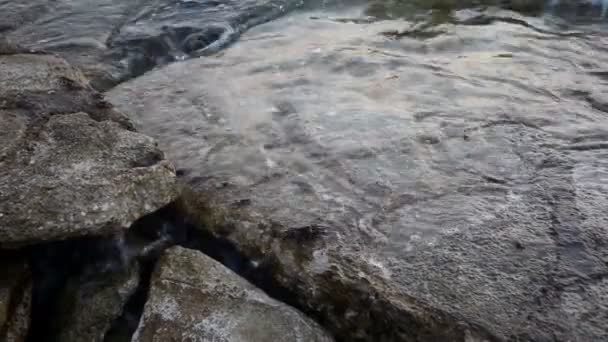 Blick Auf Lebende Krebse Auf Dem Felsenmeer — Stockvideo