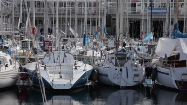 Utsikt Över Segelbåtar Trieste Piren — Stockvideo