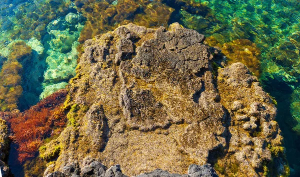 Zicht Kleurrijke Zee Van Linosa Sicilië — Stockfoto
