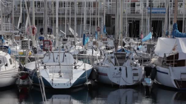 Veduta Delle Barche Vela Nel Molo Trieste — Video Stock