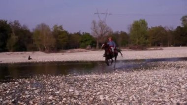 TICINO, İTALYA - 12 Nisan 2015 'te Ticino nehri boyunca dörtnala koşan atların görüntüsü
