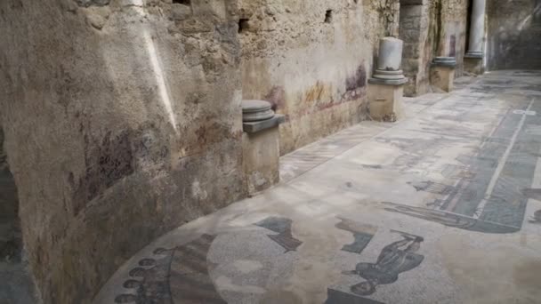 Piazza Armerina Itálie Duben Mozaika Cirkusu Maximus Dvouapsidové Místnosti Vilovém — Stock video