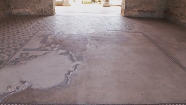 Piazza Armerina Italia Aprile Mosaici Villa Romana Del Casale Famosi — Video Stock