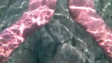 Adriyatik Denizi 'nde şnorkelle yüzerek çakıllı deniz tabanına bakarak.