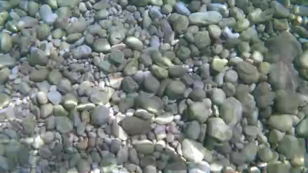 Nadar Bajo Agua Haciendo Snorkel Mar Adriático Mirando Fondo Del — Vídeo de stock