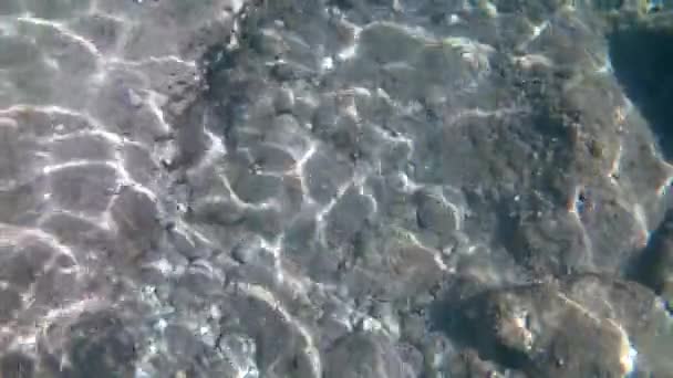 アドリア海でシュノーケリングで水中を泳ぐ — ストック動画