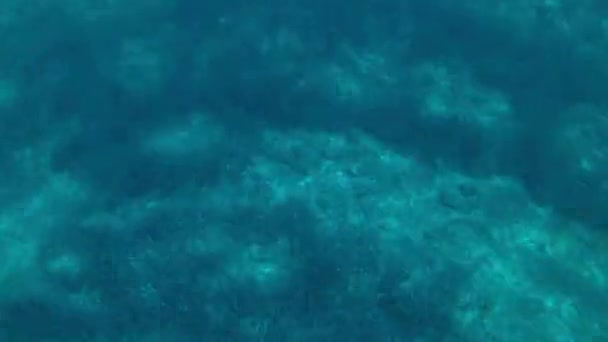 Plavat Pod Vodou Šnorchlování Adriatickém Moři — Stock video