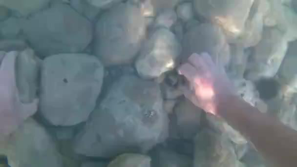 Плавати Під Водою Піднімаючи Монетну Оболонку Адріатичному Морі — стокове відео