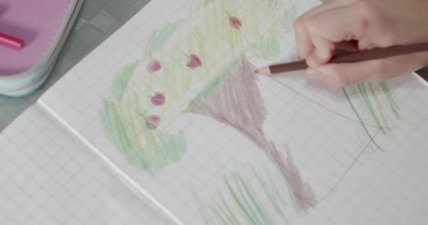 Gros Plan Petites Mains Fille Colore Dessin Pommier Avec Crayon — Video