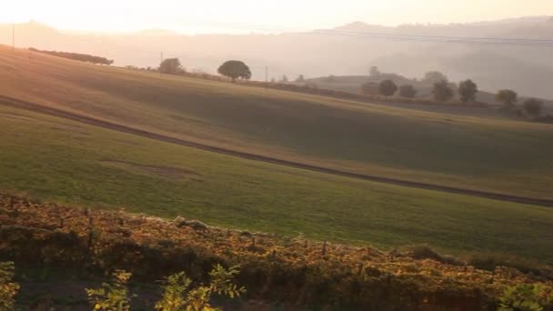 秋の日没時にトロントの丘のブドウ畑 — ストック動画