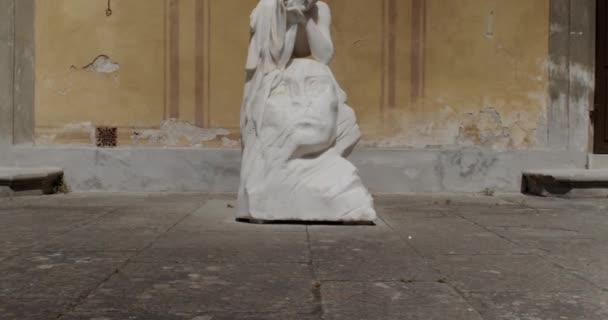 Kilátás Egy Szoborra Stibbert Múzeum Udvarán Firenzében Olaszország — Stock videók