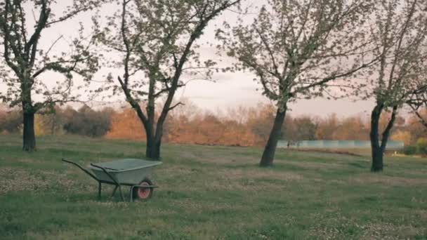 Blick Auf Eine Schubkarre Feld Mit Bäumen Italien Landschaft — Stockvideo