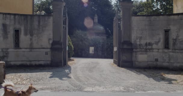 Florence Italy July Couple Its Dog Walking Next Secondary Entrance — Stock Video