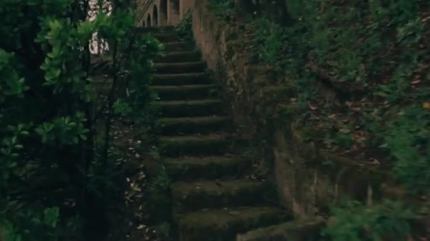 苔で覆われた古い階段を歩く — ストック動画