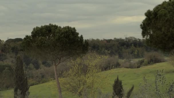 Vue Pinède Maritime Sur Ciel Dégagé Dans Campagne Romaine — Video