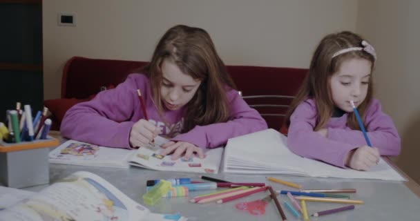Two Sisters Wearing Pink Sweatshirt Homework Writing Notebook Table Colors — Stock Video
