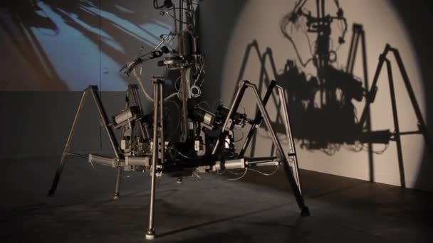 Trieste Italie Septembre Installation Exoskeleton Stelarc Exposée Lors Esof Euroscience — Video