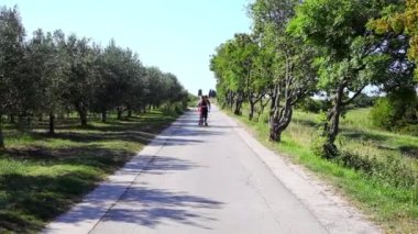 Slovenya 'nın Strunjan kentindeki zeytinliğin yanındaki yolda paten kayan iki aşığın arka görüntüsü.