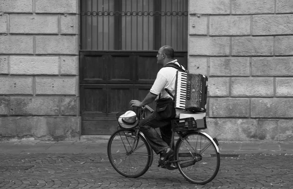 Biqueiro cigano, Padova — Fotografia de Stock