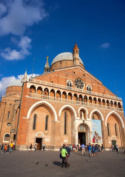 A Pápai Páduai Szent Antal-bazilika — Stock Fotó