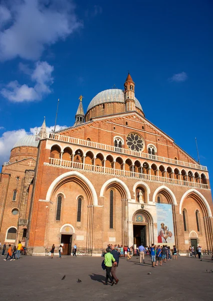 Påvliga basilikan saint Antonius av padua — Stockfoto