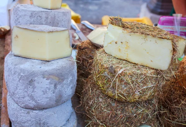 Italian cheeses — Stock Photo, Image