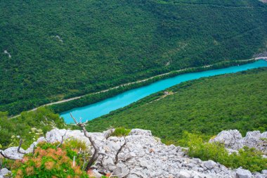 SOCA Nehri