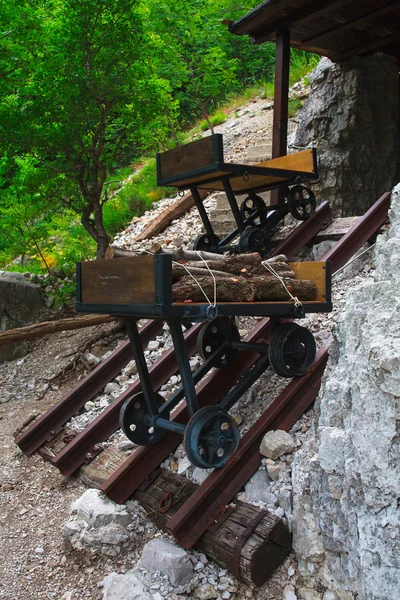 Varukorgen — Stockfoto