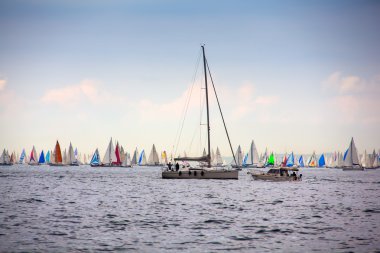 46 Barcolana regatta