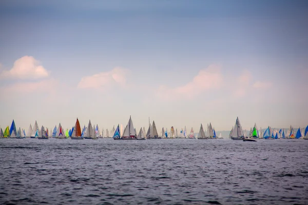 46 Barcolana regatta — Stok fotoğraf