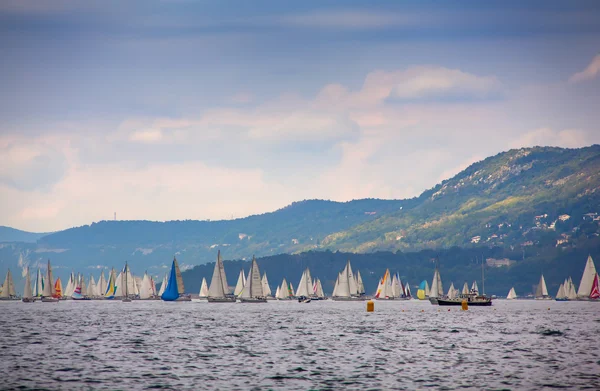 46 Barcolana regatta — Stok fotoğraf